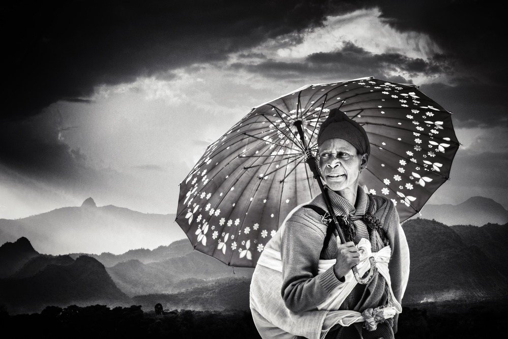 lady with umbrella von Piet Flour