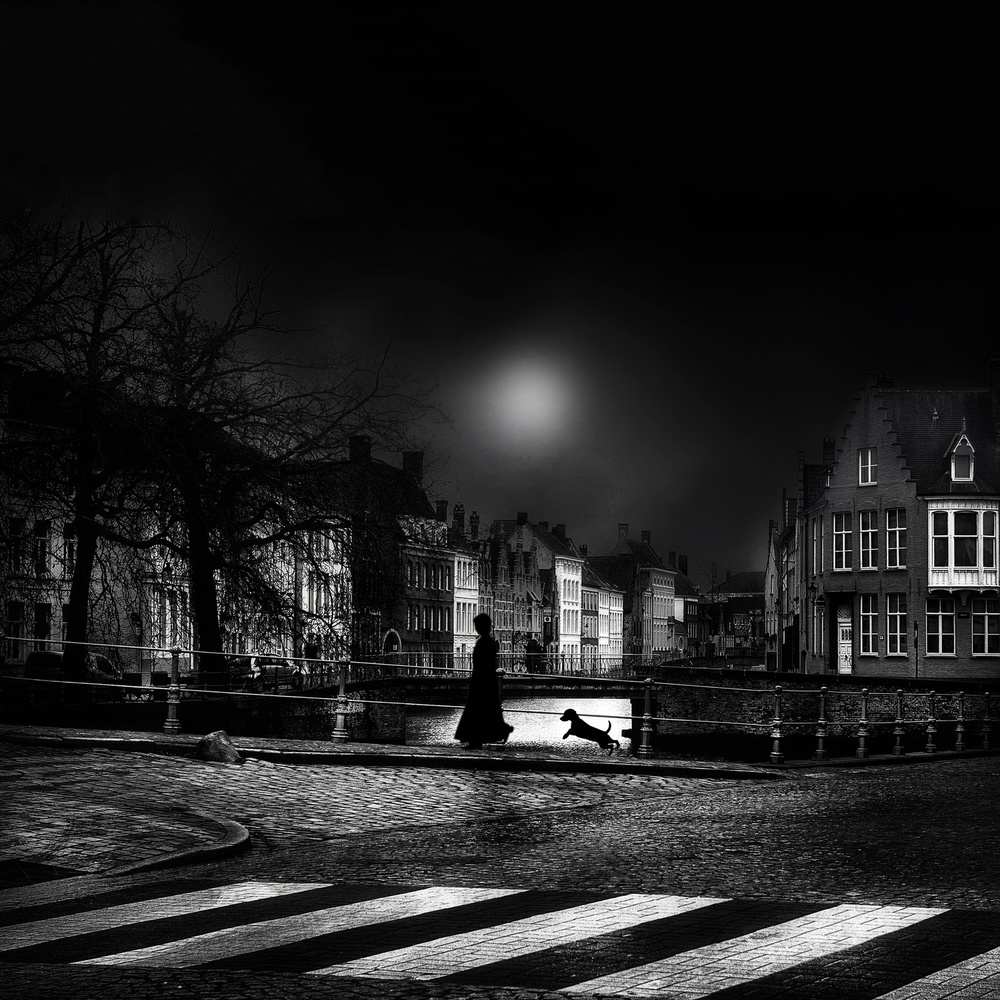 Moonlight stroll von Piet Flour