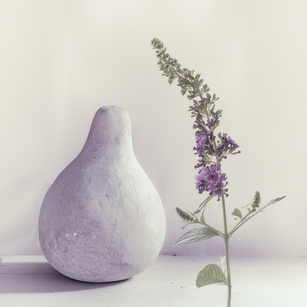 summer lilac von Piet Flour