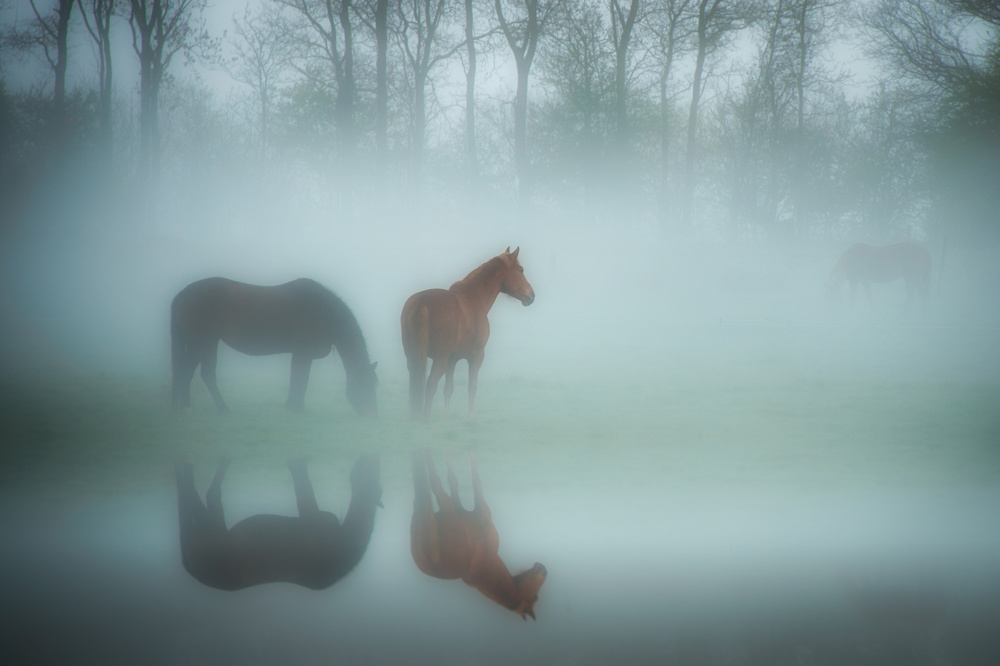 Waiting for the sun von Piet Haaksma