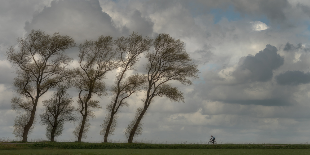 Against the wind........... von Piet Haaksma