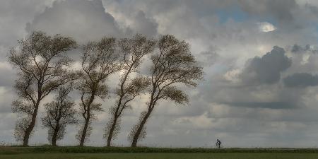 Against the wind...........