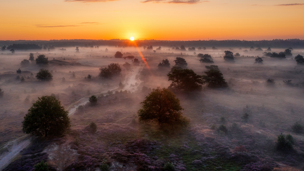 Golden sunrise von Piet Haaksma