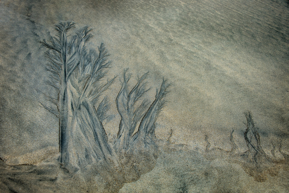 Landscape of sand von Piet Haaksma