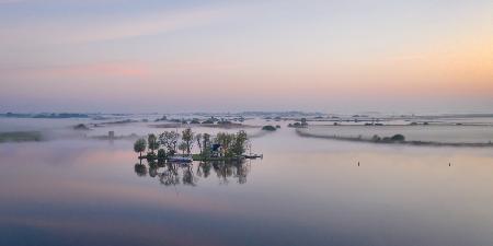 Misty morning