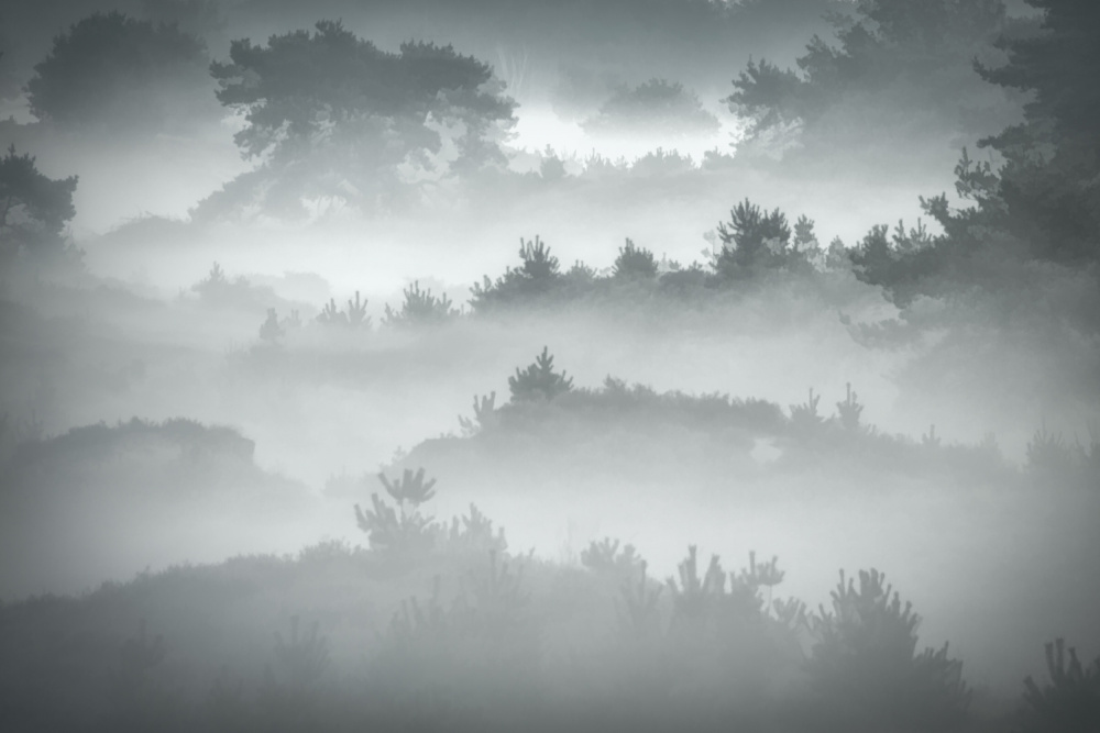 Foggy morning before sunrise von Piet Haaksma