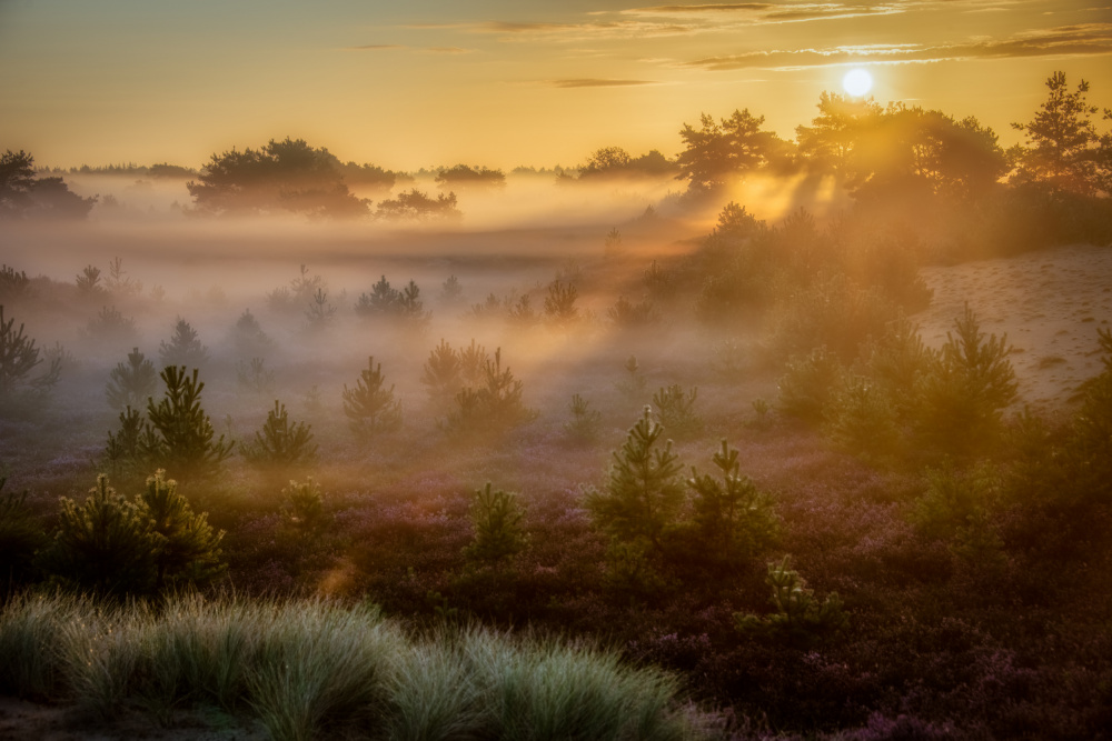 Dreamy sunrise von Piet Haaksma