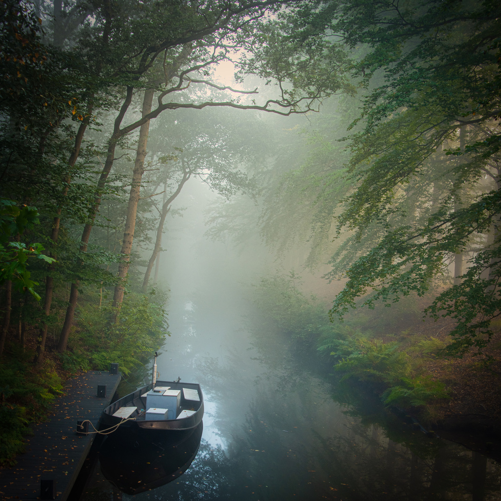 Waiting for.......... von Piet Haaksma