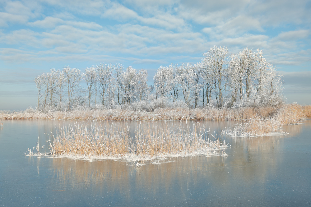 Winter von Piet Haaksma