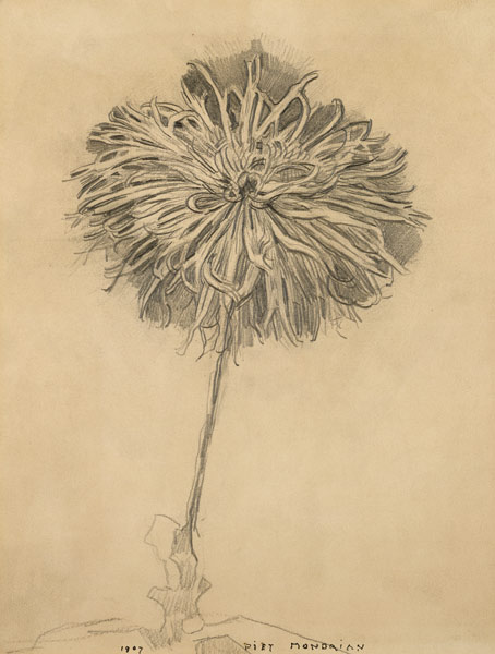 Crysanthemum von Piet Mondrian