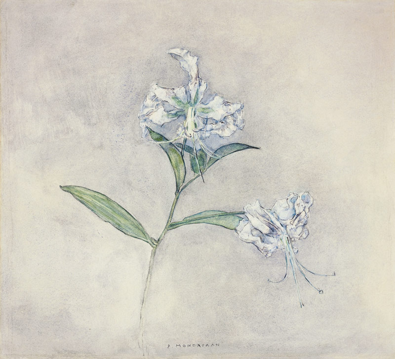 Zwei japanische Lilien (Deux Lilies Japonaises) von Piet Mondrian