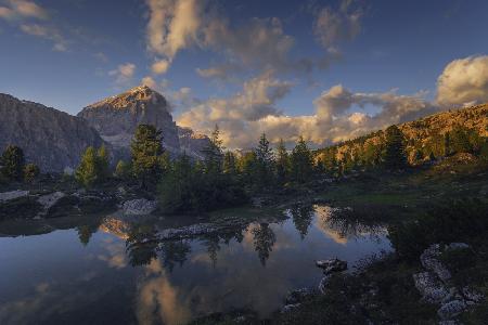 Lake reflections