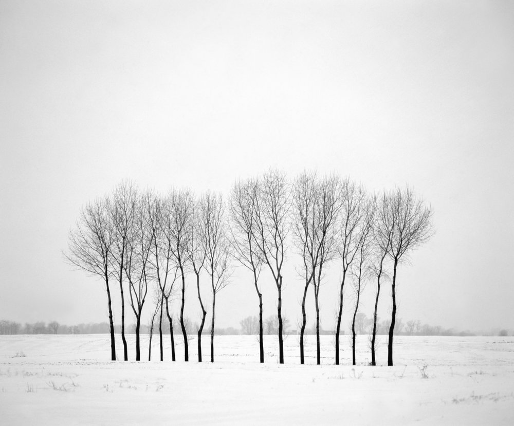 Winter landscape with trees von Piotr Ciesla