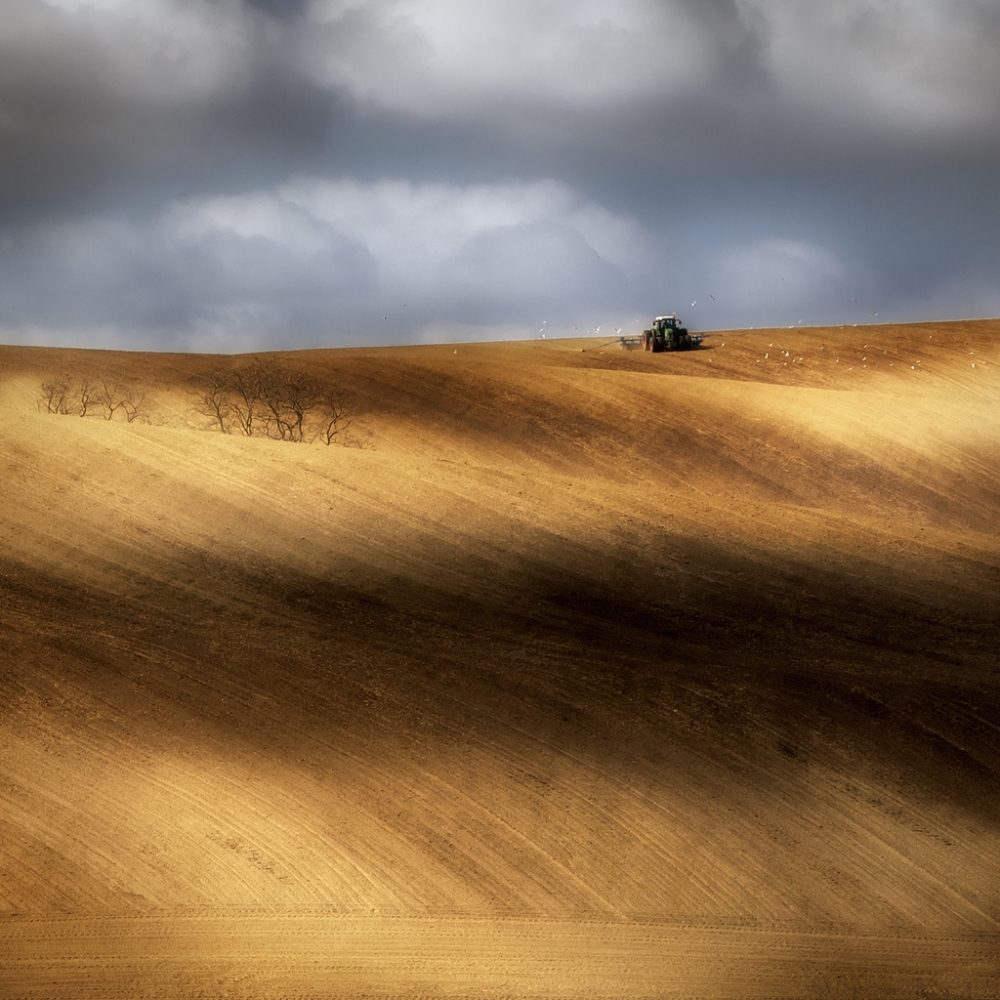 seeding time von Piotr Krol (Bax)