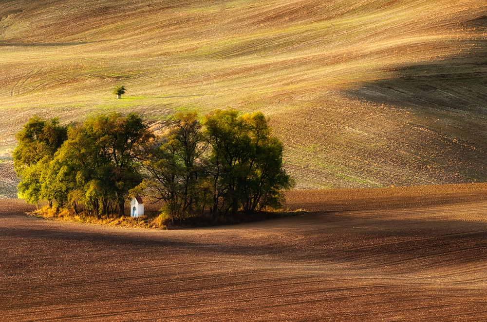 field chapel von Piotr Krol (Bax)