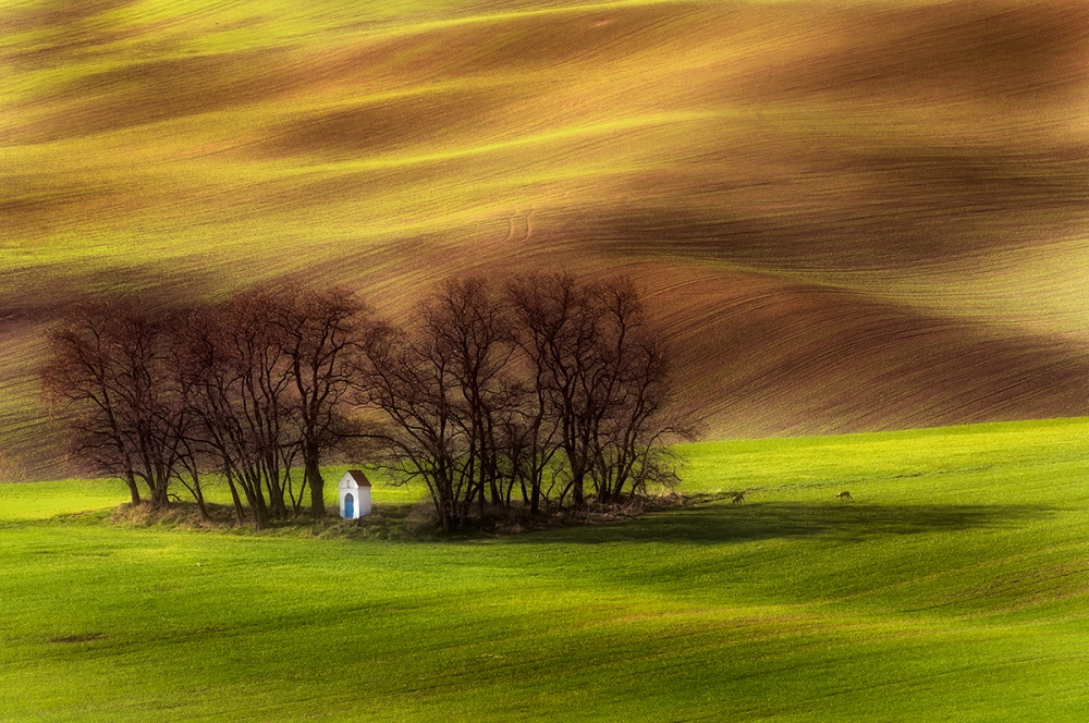 spring chapel von Piotr Krol (Bax)