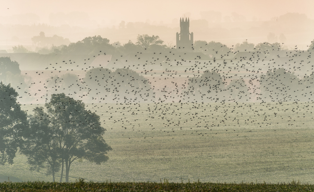 autumn time von Piotr Krol (Bax)