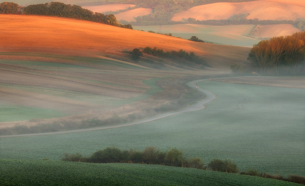 in the morning mist von Piotr Krol (Bax)