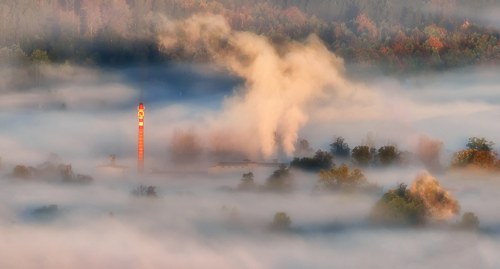 in the fog von Piotr Krol (Bax)