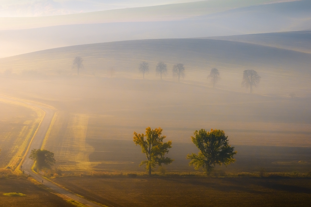 in the fog von Piotr Krol (Bax)