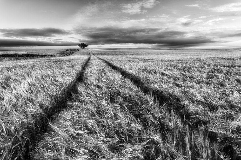 Countryside von Piotr Krol (Bax)