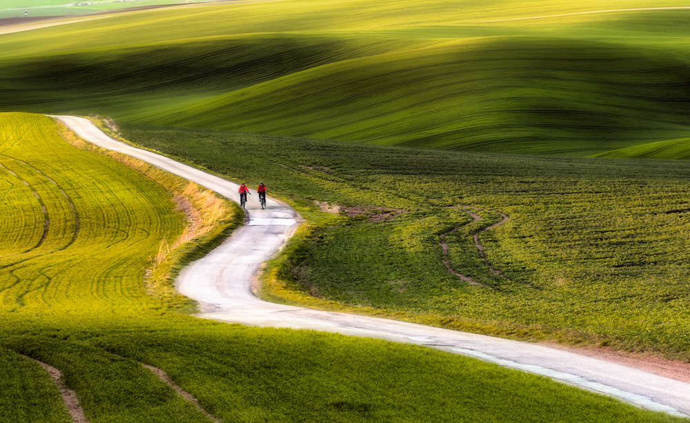 cyclists von Piotr Krol (Bax)