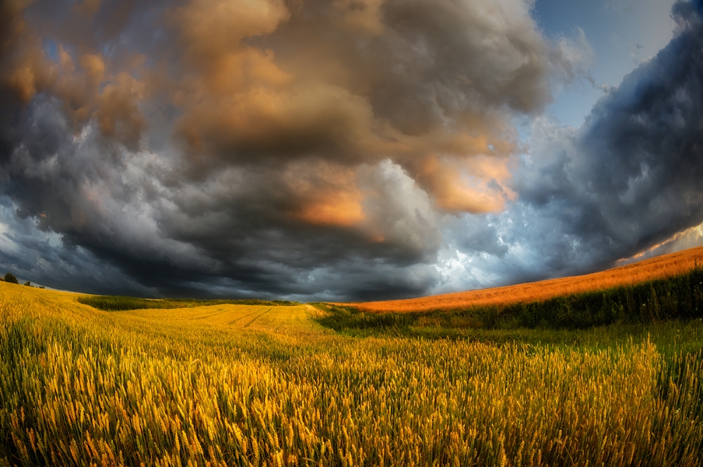 fields of storm von Piotr Krol (Bax)