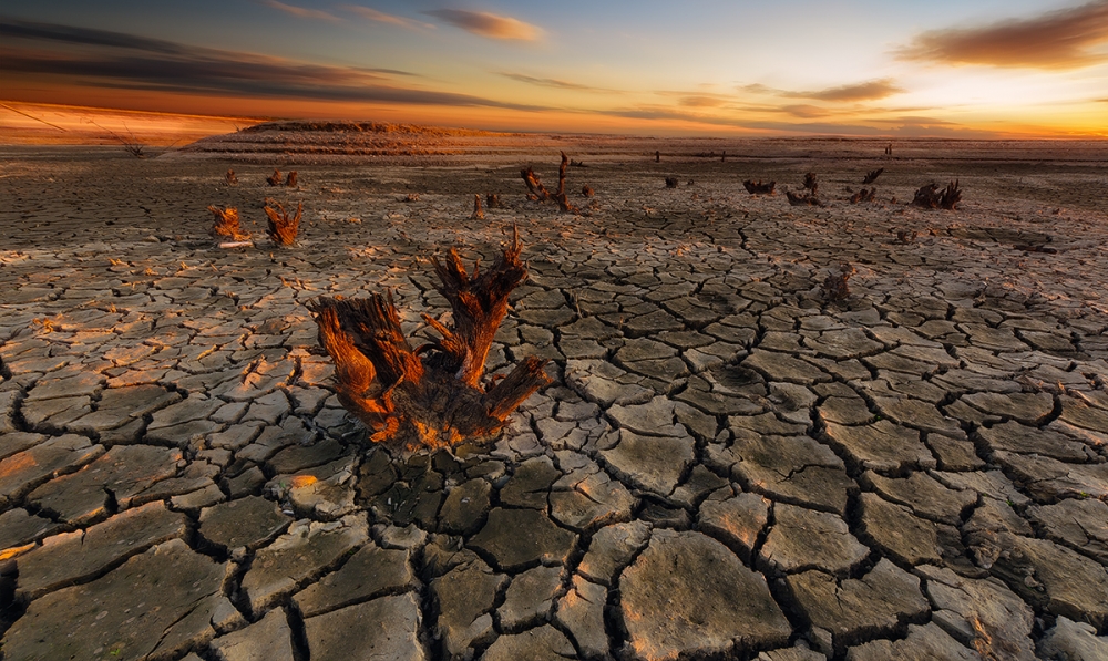 Dry lake von Piotr Krol (Bax)