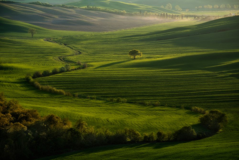 Curlicue von Piroska Padar