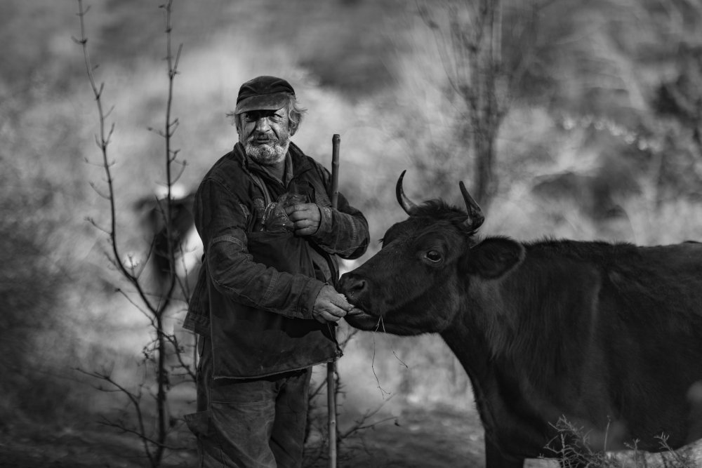 The old man and the mountain von Plamen Penov