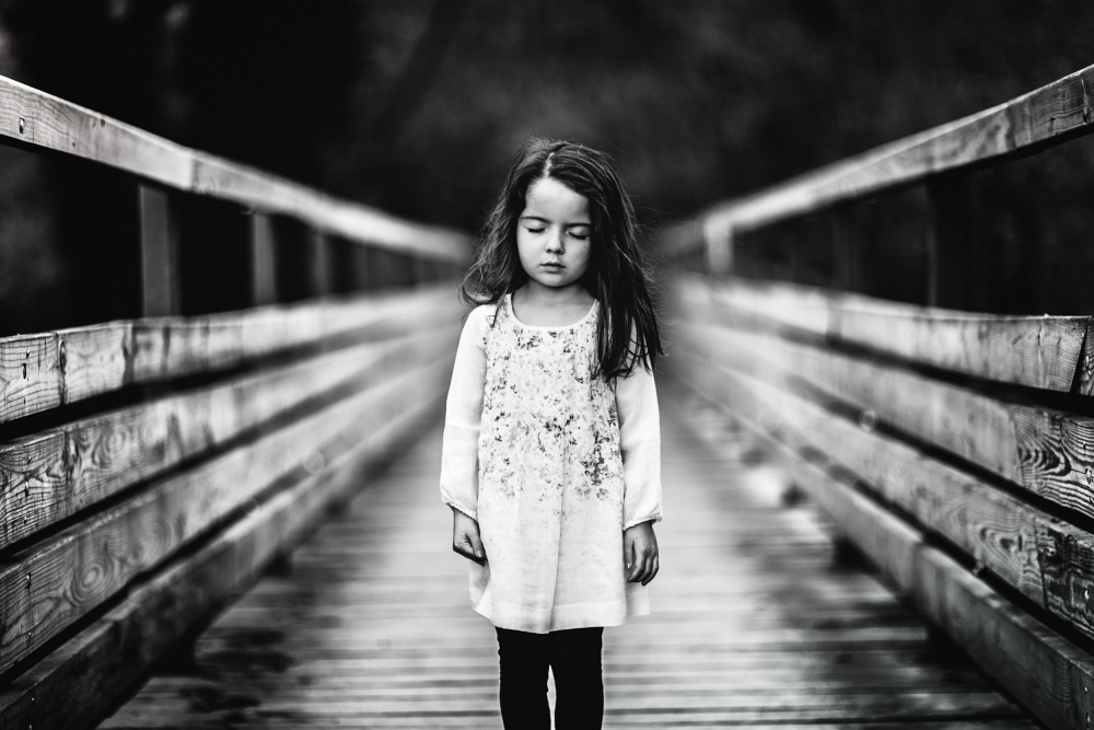 The bridge von portraitsbysam