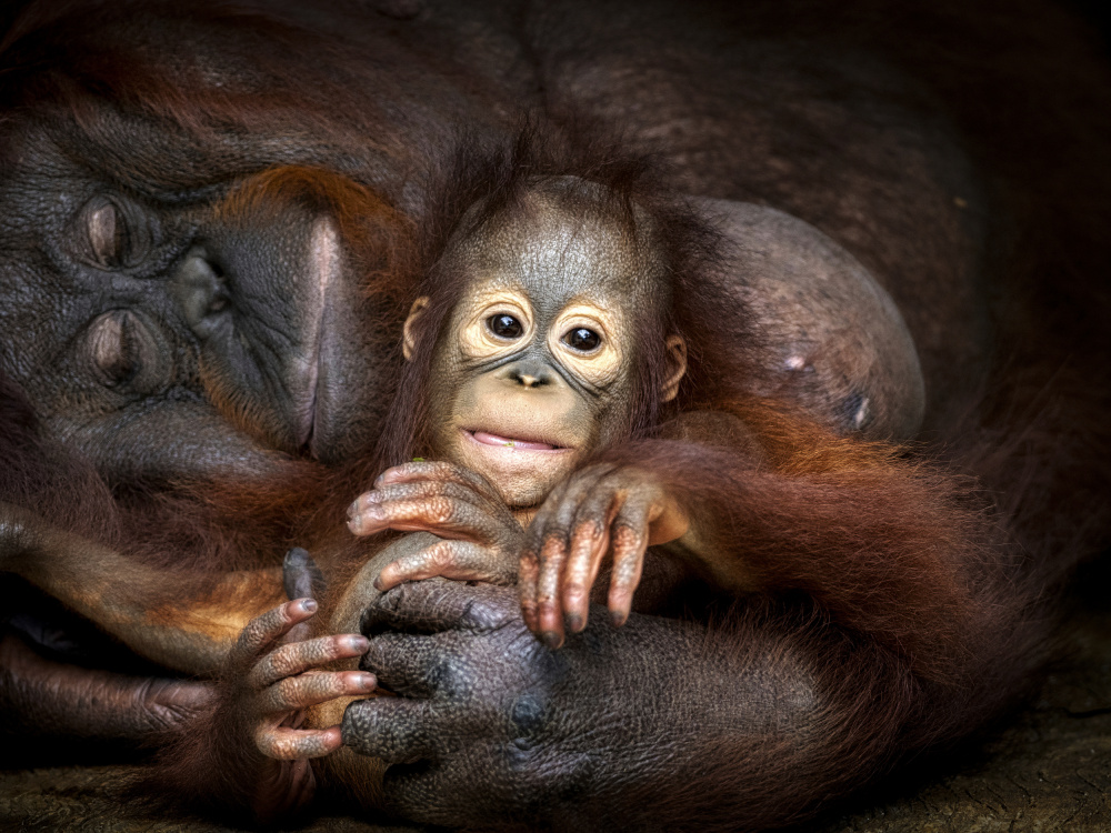 Lazy day with Mom von Prabu Dennaga