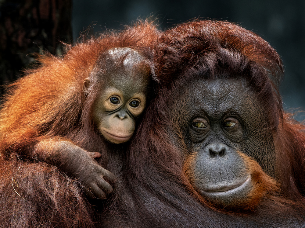 With mom von Prabu Dennaga