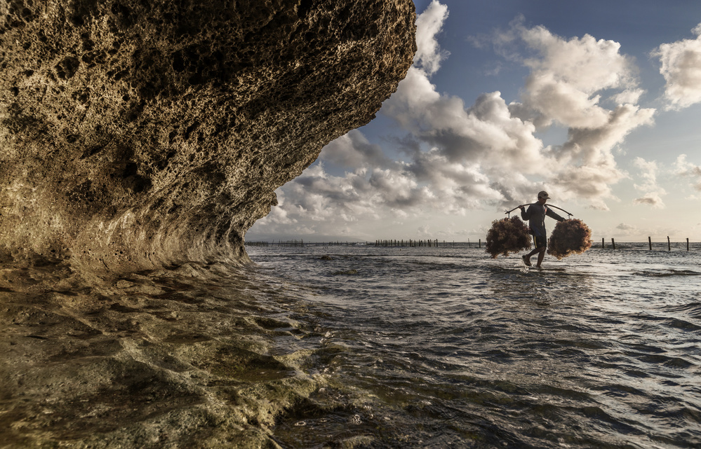 Seaweed farmer von PRADEEP RAJA