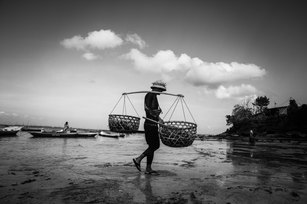 The Seaweed Farmer von Pramod Kanakath