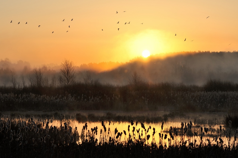 Awakening von Przemek Wielicki