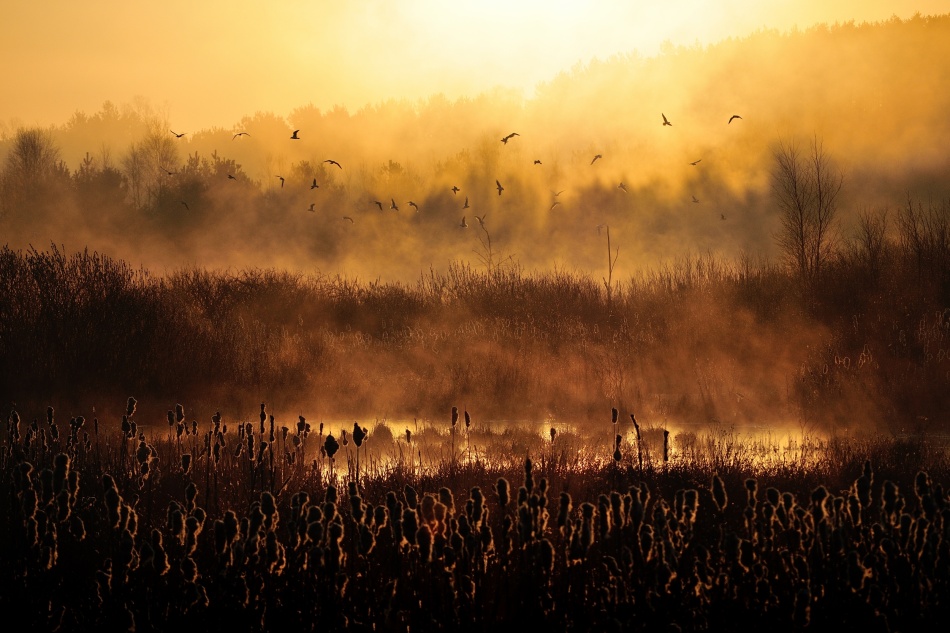 Morning impression von Przemek Wielicki