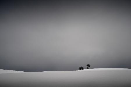 Winter minimal