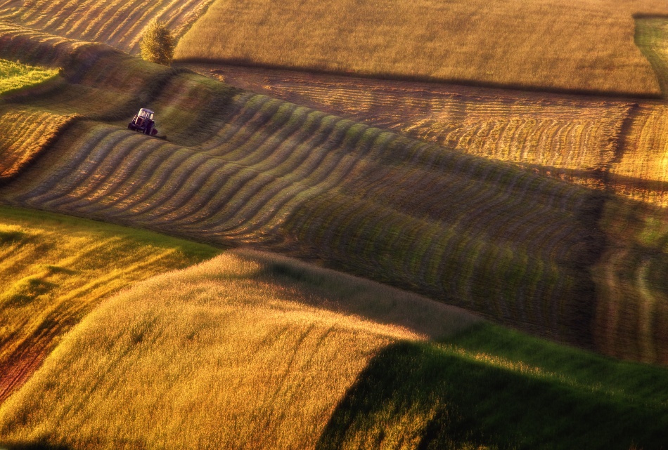 tractor von Przemyslaw Kruk