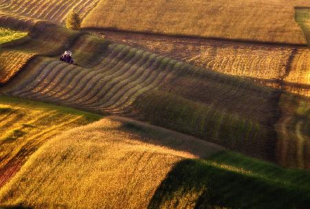 tractor