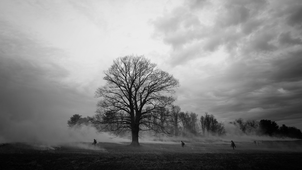 Planned Fire at Valley Forge Park von Purple Bamboo