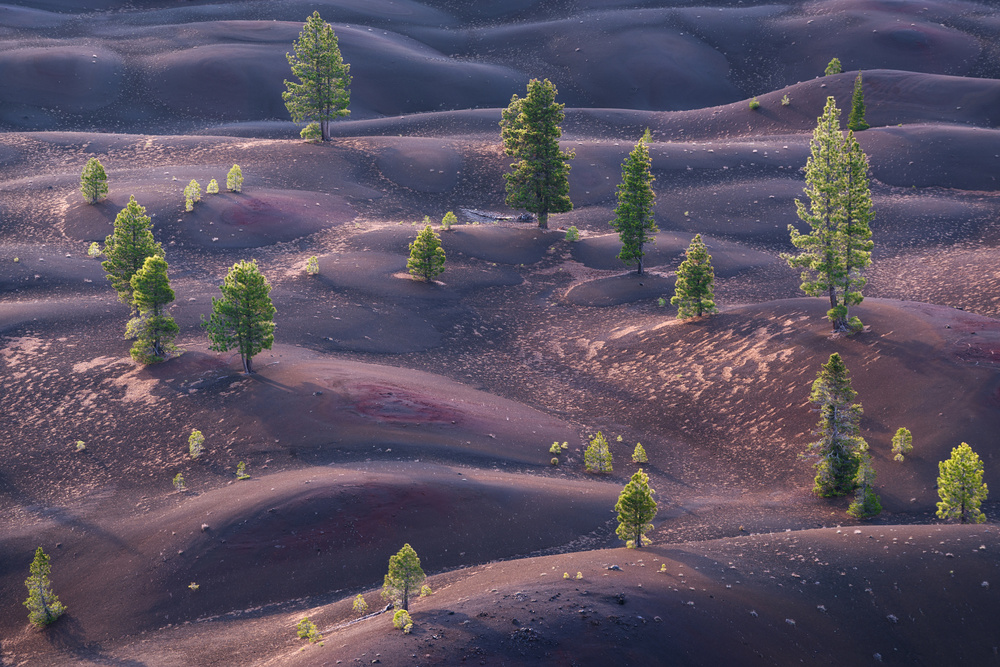 Painted Dunes von Qiang Huang