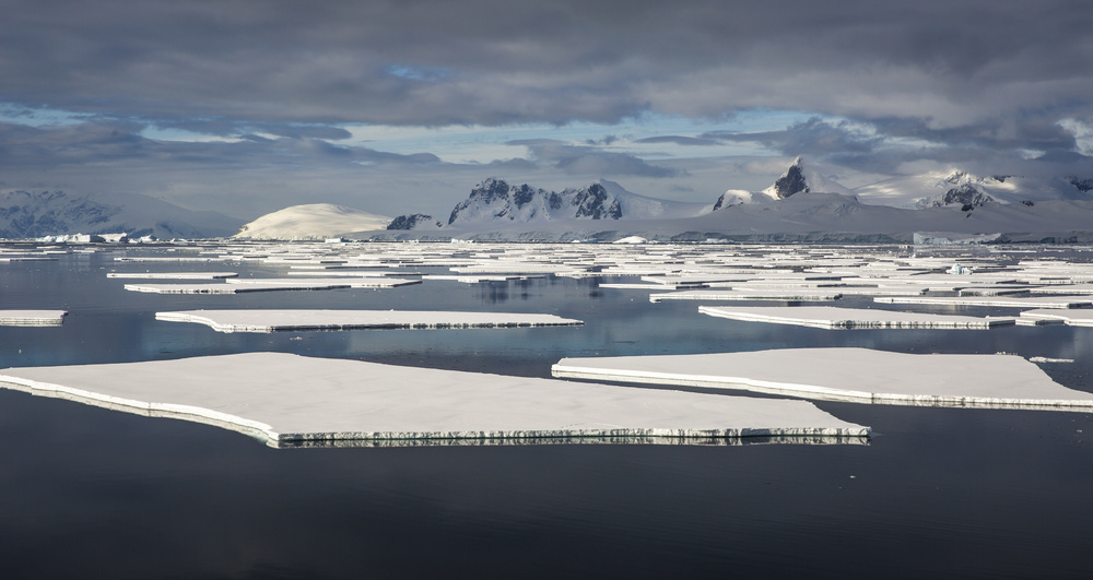 ice row von Qiang Liu