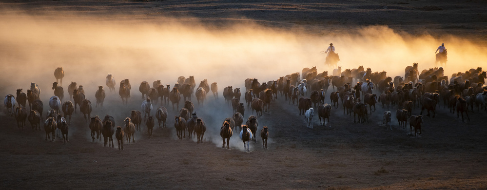 Pentium on the grassland von Qiang Liu