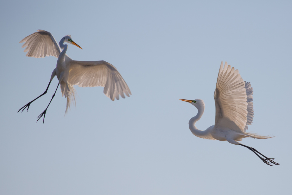 Dancing on the air von Qishui Hao