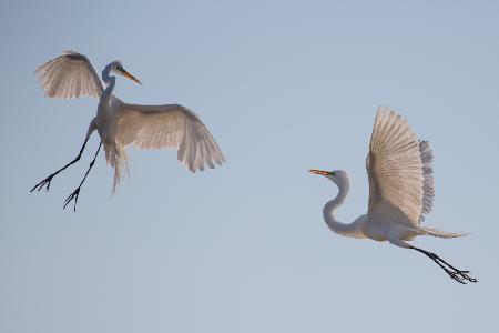 Dancing on the air