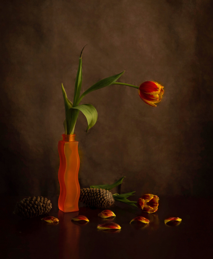 Orange Memory von Qun Jiao