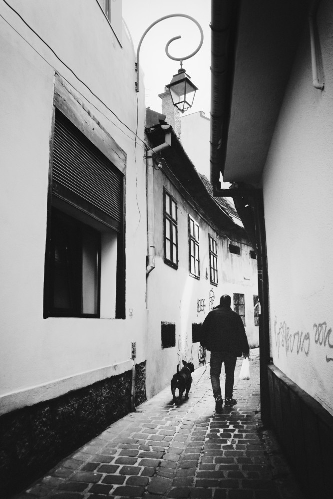 Walking down the street von Raceala Elena