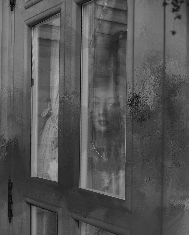 The mysterious lady through the window von Rachel Pansky