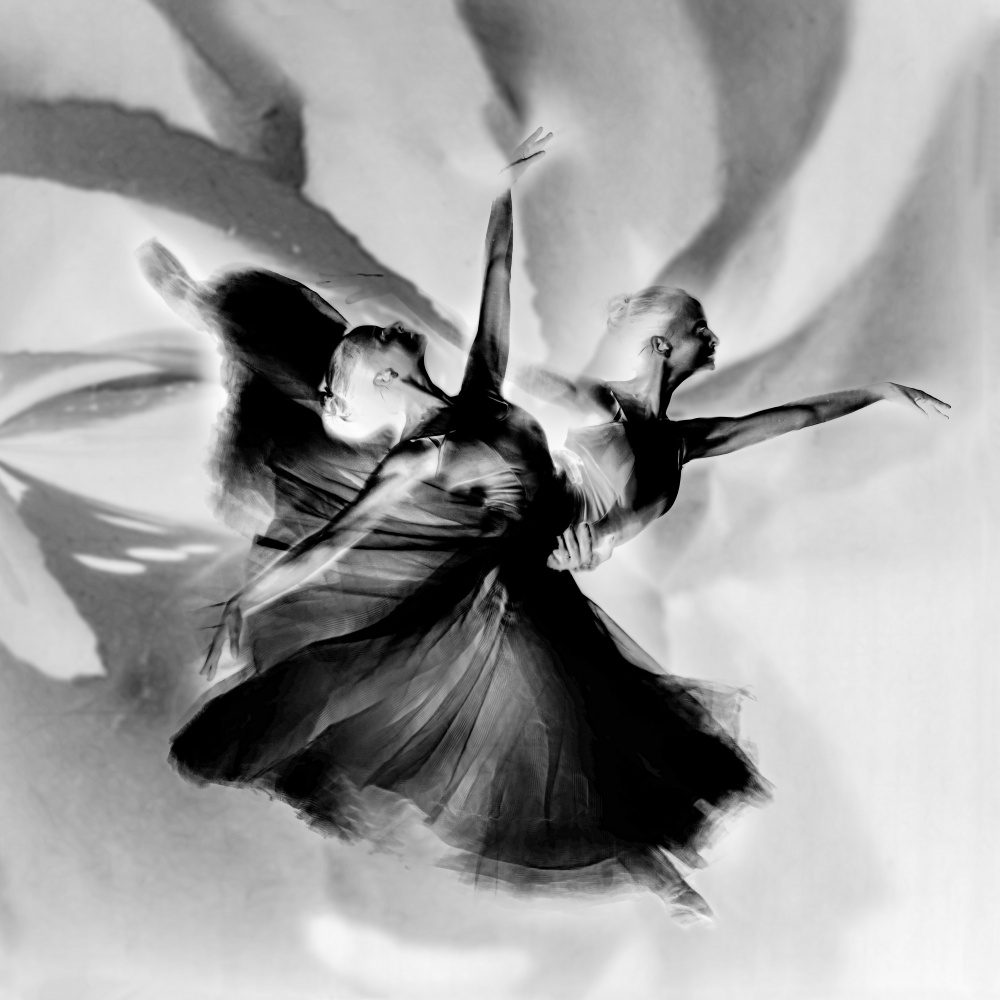 Dance in black and white von Rachel Pansky